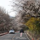 한수제 일원 이미지