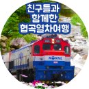 모아당구클럽 | 대구여행자클럽과 함께 한 "환상의 협곡 기차여행" 분천역~동해역