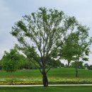 순천만국가정원 에코지오카페 | [순천카페] 순천만 국가정원 &#39;프랑스정원 카페&#39;/솔직후기/디저트