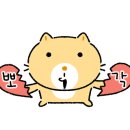 피쉬랜드