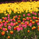 안산공원 이미지