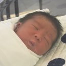 꼬미와 함께 한 38w2d🤰🏻🫶