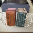 디어터틀(dear turtle) 이미지