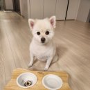 콩이네 방앗간 이미지