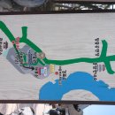 개룡마을 입구(주차장) | 안동 하회마을 벚꽃 실시간 개화 현황 | 입장료, 주차장 요금, 물품보관함