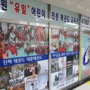 국가대표태풍태권도장 이미지