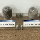 생활속생생부동산 이미지