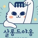 살롱드 야옹 이미지