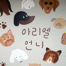 아리엘언니 이미지