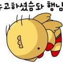 펠리스타운 이미지