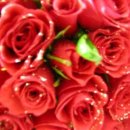 밥앤조토익학원 이미지