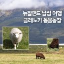 동물농장 | 뉴질랜드 남섬 글레노키 동물농장 후기 | 퀸스타운 근교 Glenorchy Animal Experience