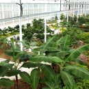 치유농업관 이미지