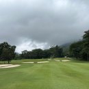 로얄헬스크럽 이미지