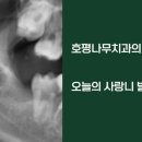 호평나무치과의원 이미지