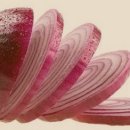 을지연마 이미지