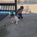 청풍빌리지펜션 이미지