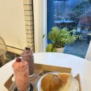 숲속그린세탁소 | 오창카페 '숲이그린정원'｜디저트 맛집·정원카페·대형카페 솔직후기