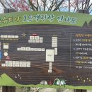 초록슈피아 캠핑장 이미지