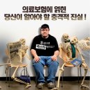 이번 18대 총선결과를 보고... 이미지