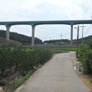 묘읍마을회관 이미지