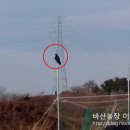 바산농장 이미지