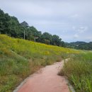 청계동펜션 | [전라남도] 곡성펜션 심청골한옥펜션