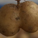 감자창고 이미지