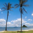 하와이 쿠아로아 리저널 공원 (Kualoa Regional Park) 이미지