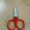 가위든개 이미지