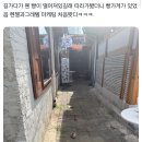 헨젤과 그레텔 이미지