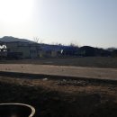 왕성농장 이미지