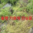 매니아카페