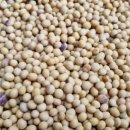 청결농장 이미지