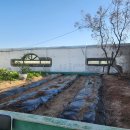 여주-0521 이미지