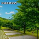 화이트 오토캠핑장 | 자연 속에서 힐링하는 캠핑, 함양용추오토캠핑장 후기🌲