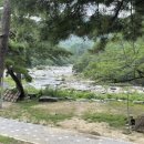 금수강산 식육식당 이미지