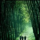 어머니의 마음 이미지