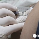 동해시-26 이미지