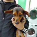 마도공단로 이미지