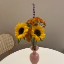 (주)골든하이 이미지