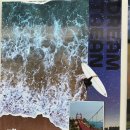 호텔마리스테이태안 | [충남] 태안 숙소 추천 💙 “호텔 마리스테이 태안”솔직 후기