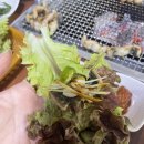 신정호민물장어맛집 이미지