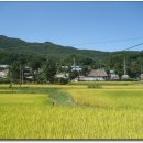 회덕마을 입구 이미지