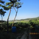 일봉농장 이미지