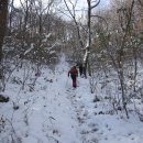 Re: 안양산853m 만연산688m 수레바위산529m (광주) 이미지