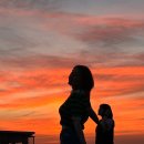 점촌-소로3-229 | [도쿄] 도쿄 최고의 뷰 맛집 “시부야 스카이” 여긴 다들 가시죠?