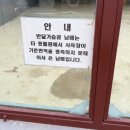 쌍둥농장 | 강릉여행 먹이체험도 가능! 가족들과 한번쯤 가볼만한 [강릉 옥계] 쌍둥이동물농장! (2)