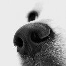 신성 세탁소 이미지