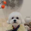 위드뚜뚜 네이버블로그